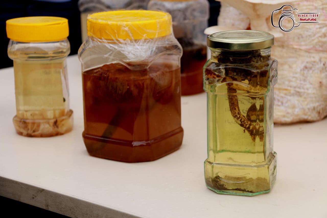 56635183 309801356368757 7170185757343088640 n 527c1