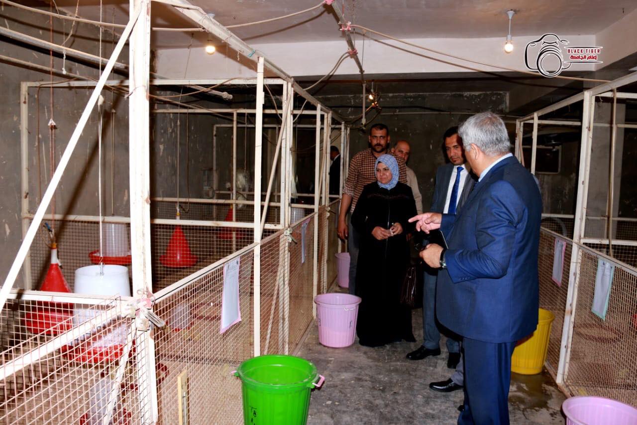 57006260 280693029528744 939629477317574656 n dc752