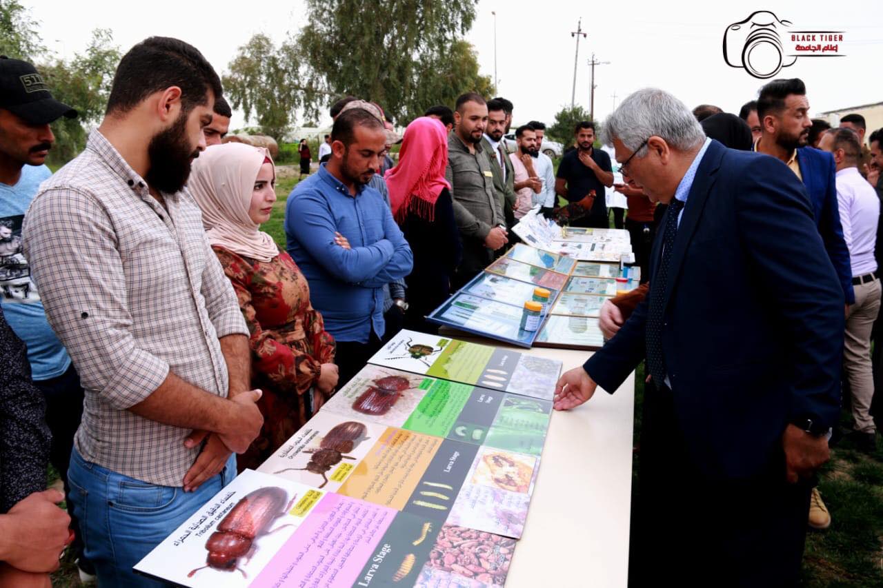 57072615 386451395286759 7369398967735418880 n 5e234